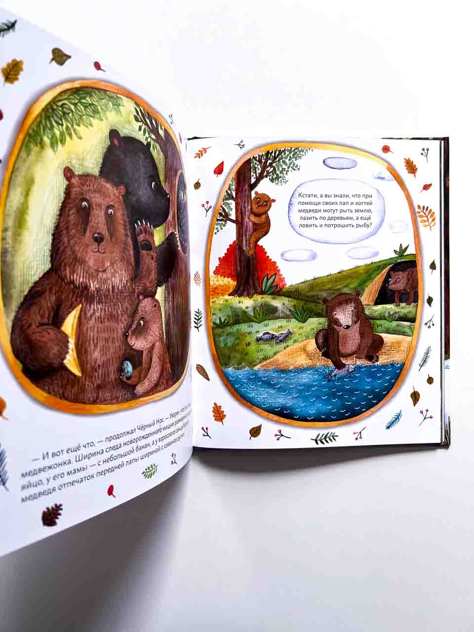 Мишки ведут расследование. Чёрный Нос и загадочные следы - Image 4