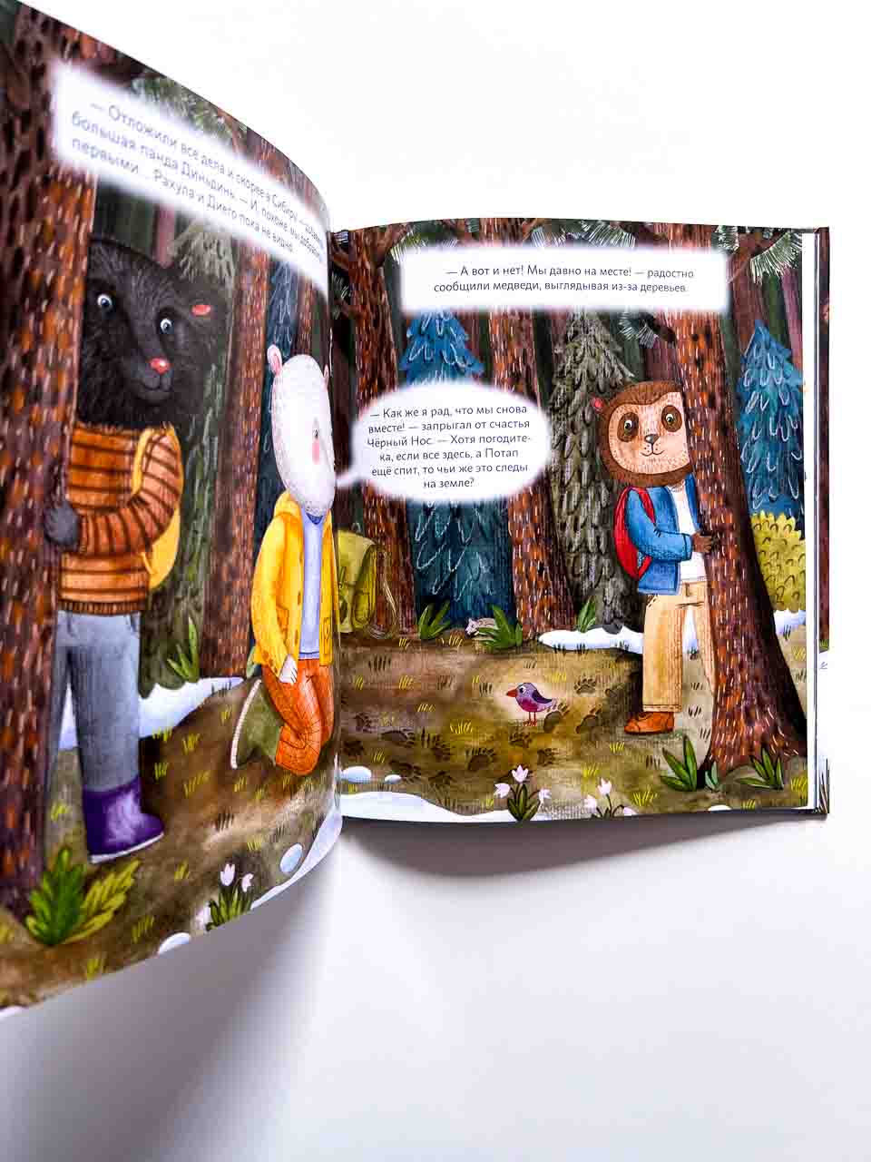 Мишки ведут расследование. Чёрный Нос и загадочные следы - Image 5