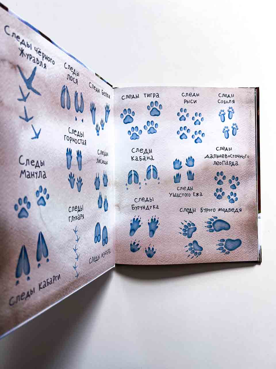 Мишки ведут расследование. Чёрный Нос и загадочные следы - Image 6