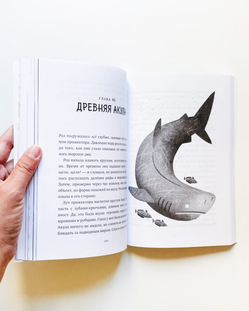 Миссия дикого робота (3) - Image 4