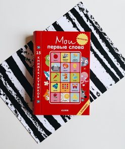 Мои первые слова (комплект из 15 книжек-кубиков)