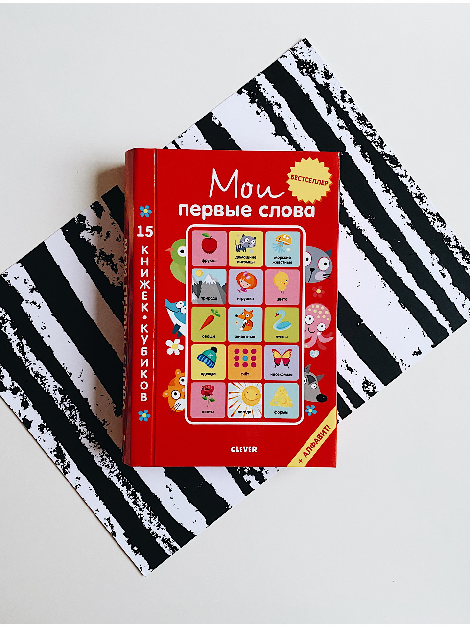 Мои первые слова (комплект из 15 книжек-кубиков)