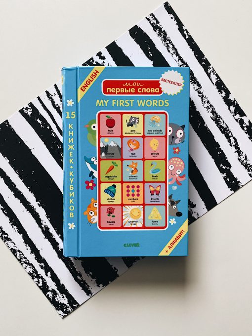 Мои первые слова. My first words. 15 книжек-кубиков