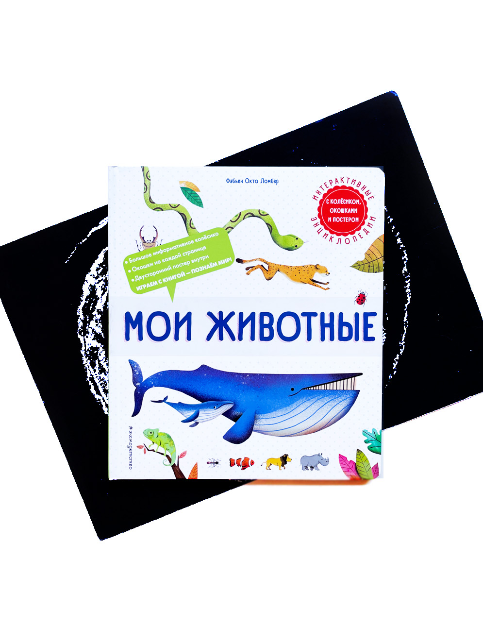 Мои животные