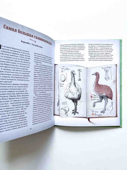 Музей доисторических животных. Единороги, мамонты, динозавры и другие экспонаты - Image 3