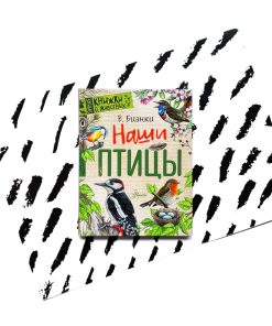Наши птицы