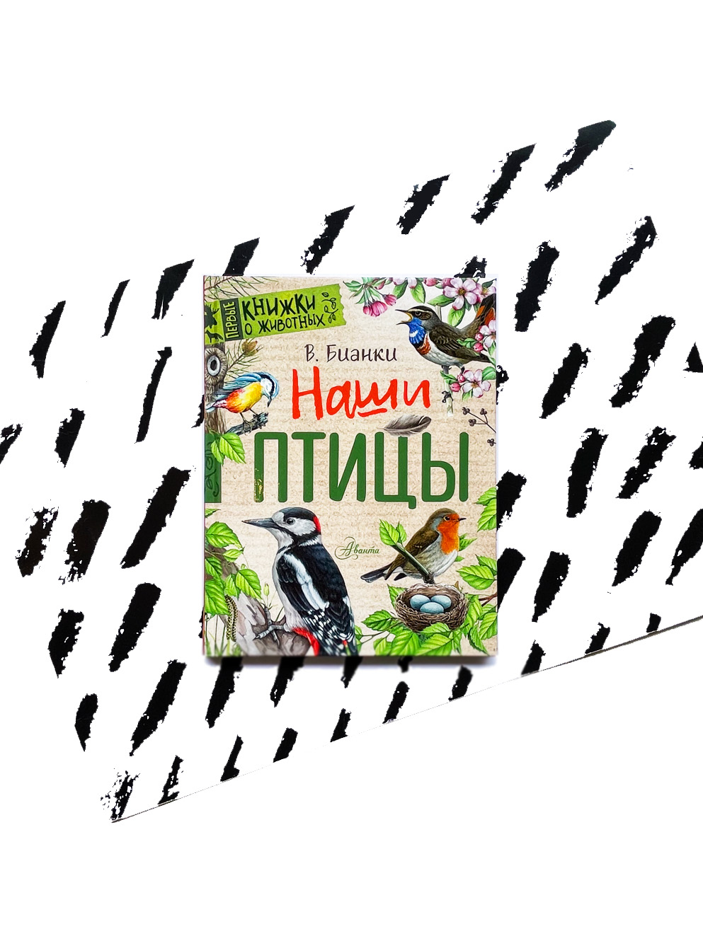 Наши птицы