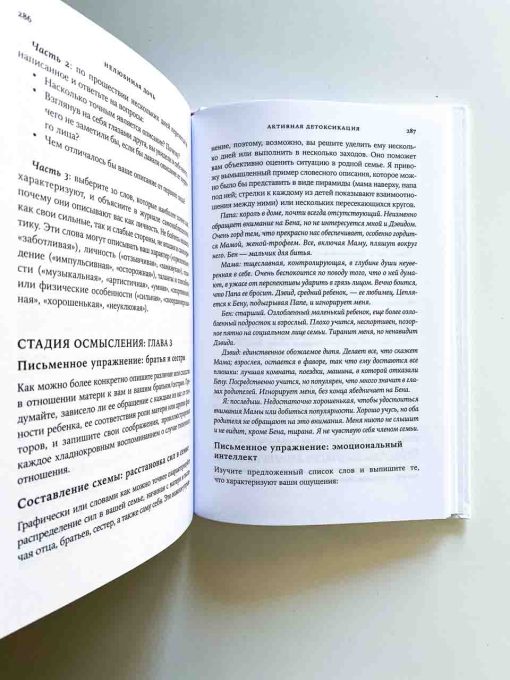 Нелюбимая дочь. Как оставить в прошлом травматичные отношения с матерью и начать новую жизнь - Image 10