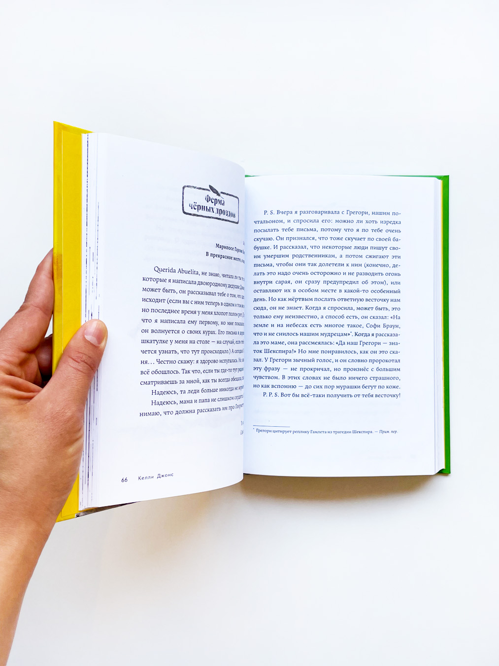 Необыкновенные куры для лучшего фермера-птицевода - Image 4