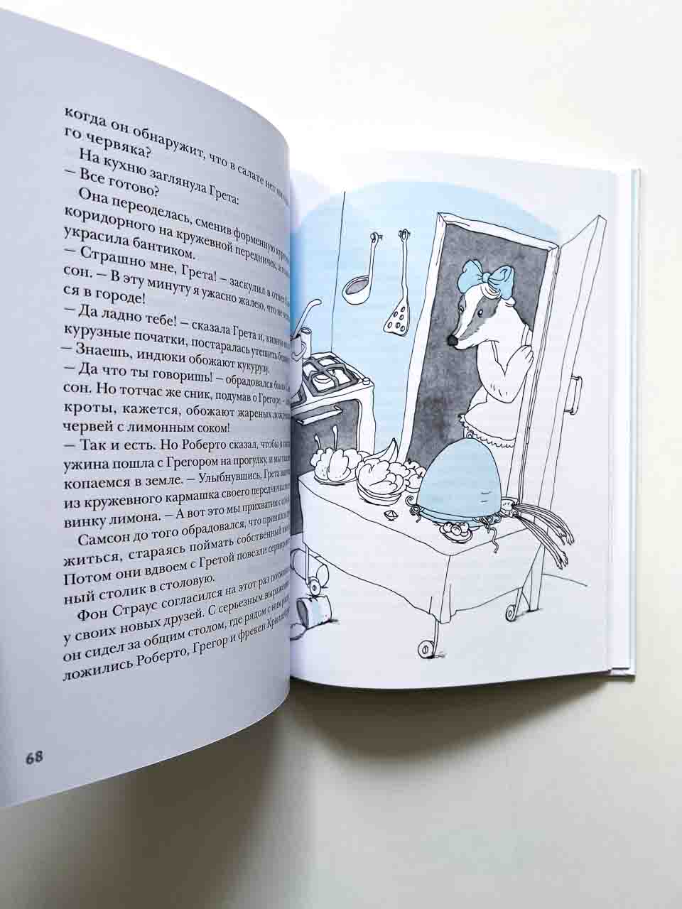 Самсон и Роберто. Неожиданное наследство - Image 5