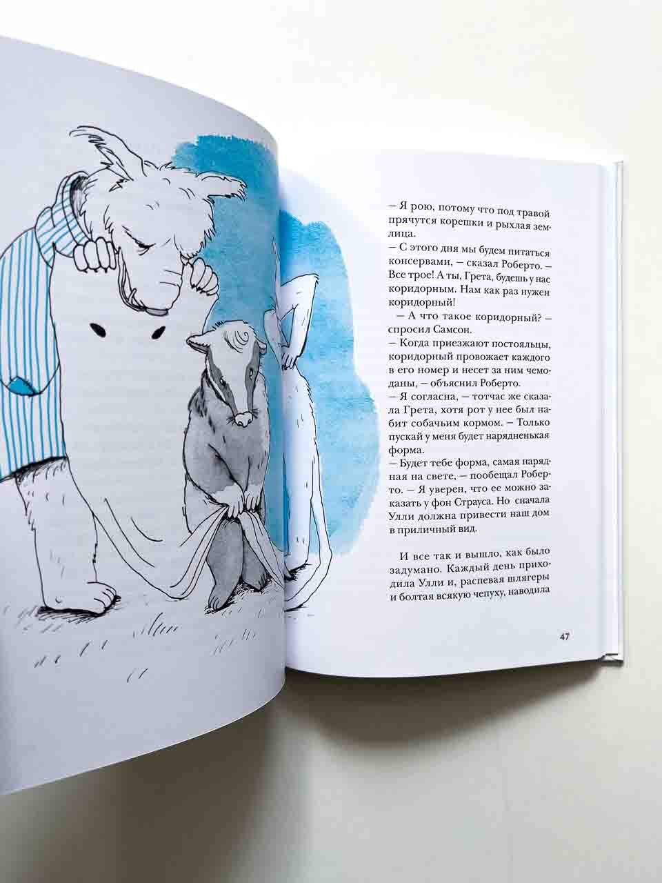 Самсон и Роберто. Неожиданное наследство - Image 4