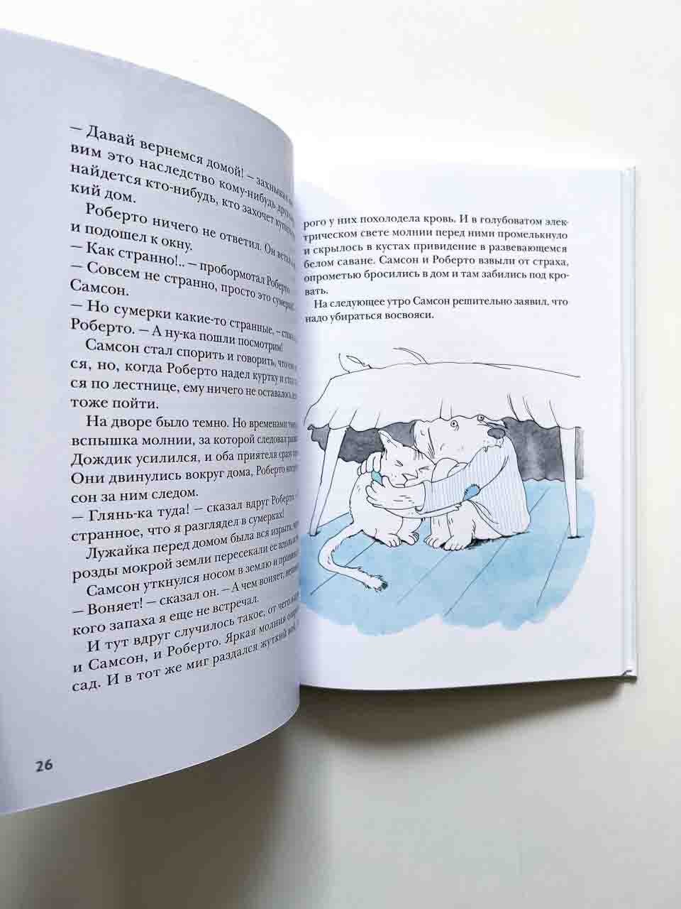 Самсон и Роберто. Неожиданное наследство - Image 3