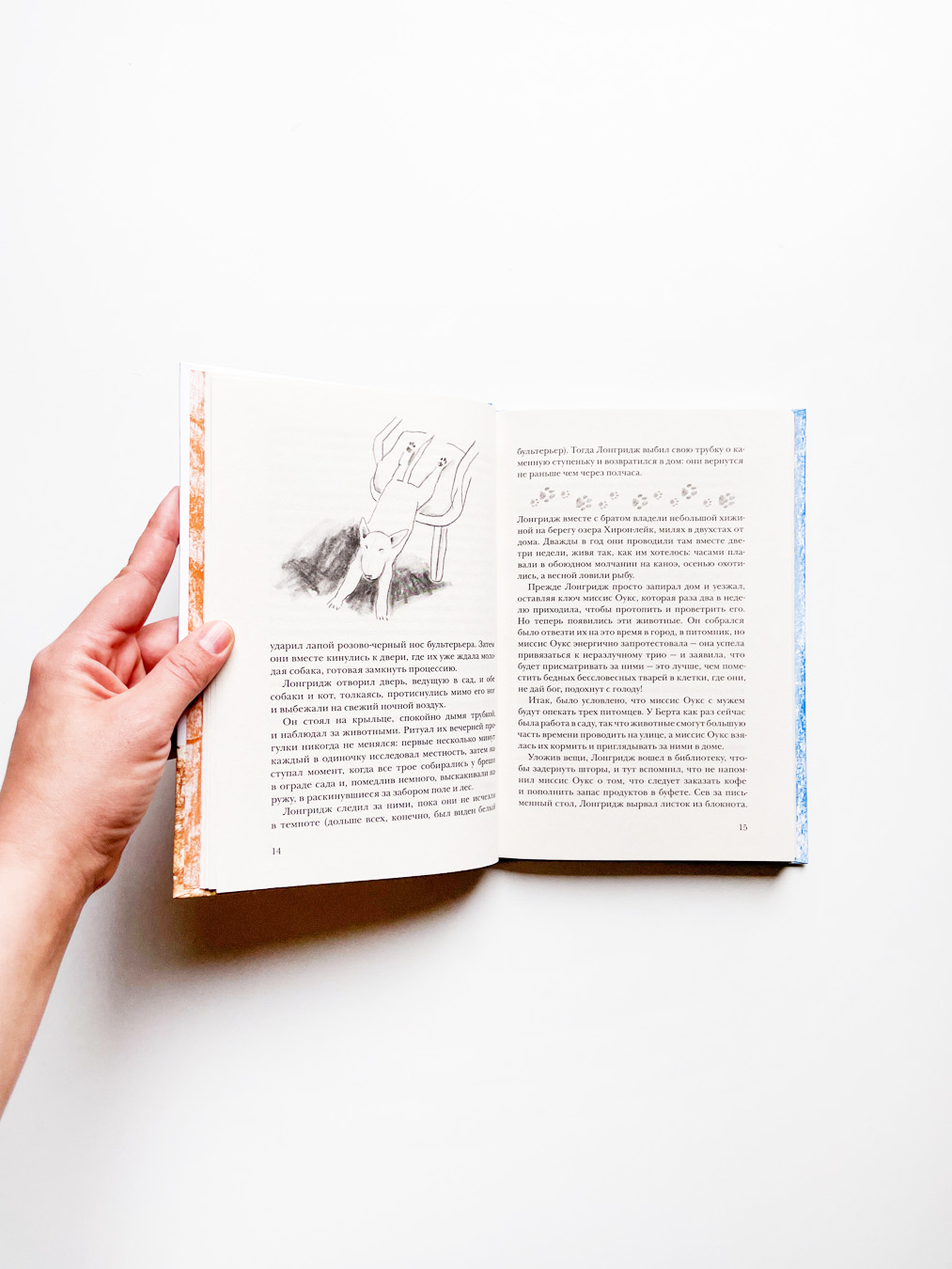 Невероятное путешествие - Image 2