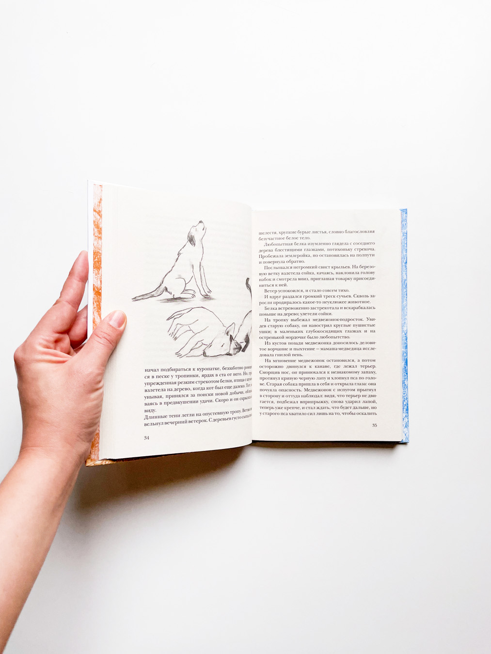 Невероятное путешествие - Image 4