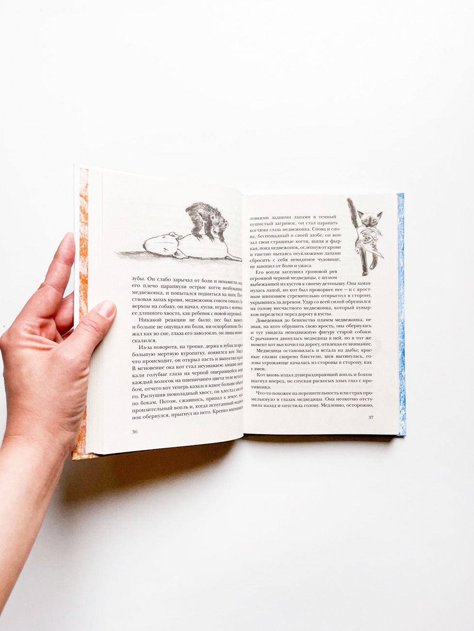 Невероятное путешествие - Image 3