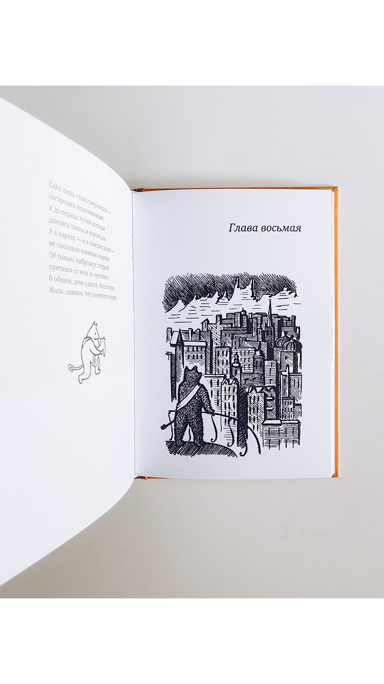 Невероятное нашествие медведей на Сицилию - Image 4