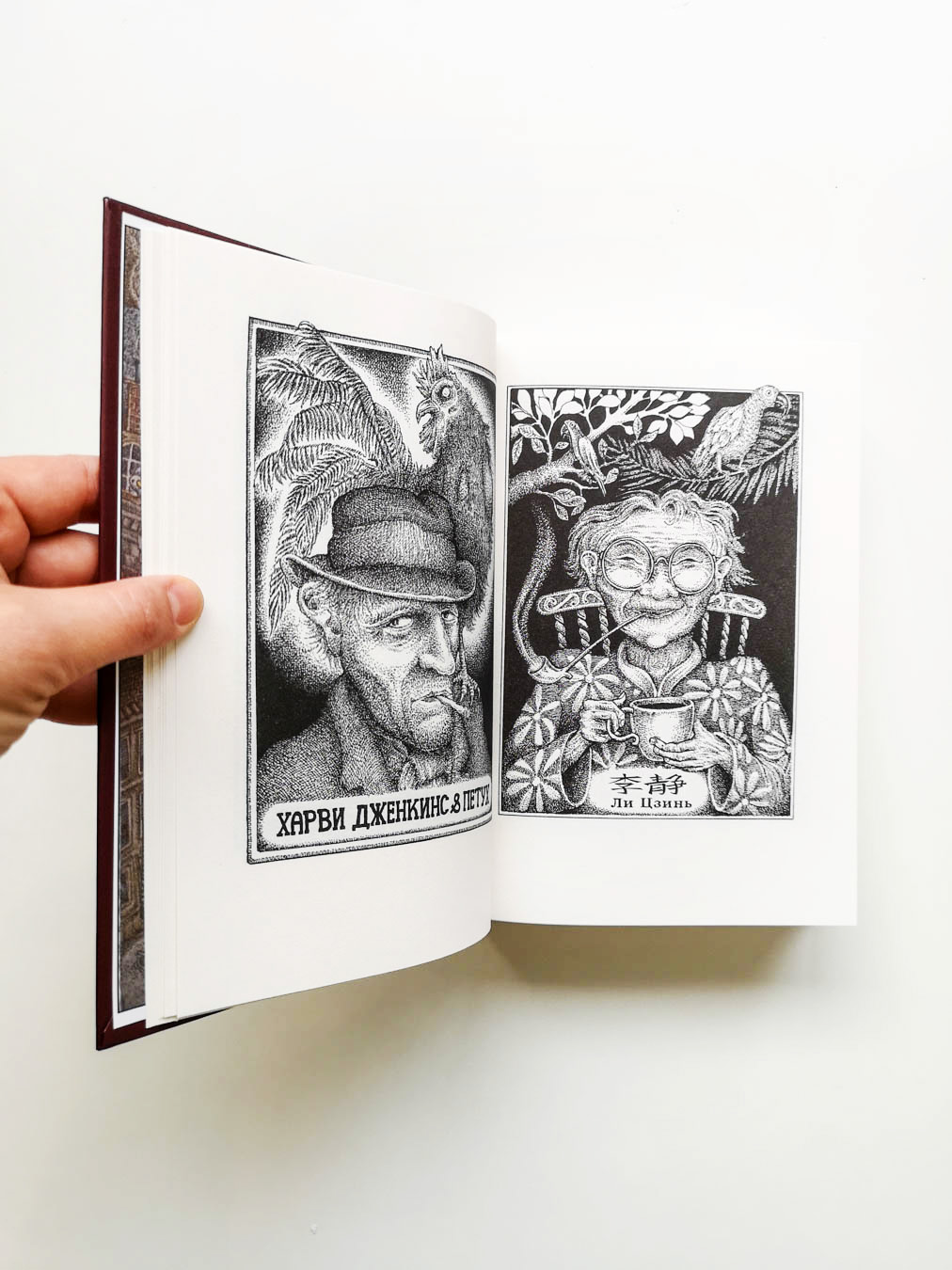 Новые странствия Салли Джонс - Image 6