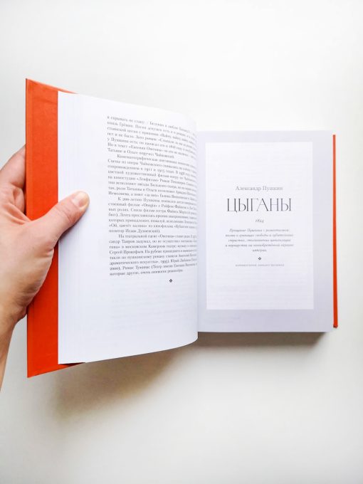Полка. О главных книгах русской литературы (том 1, 2) - Image 5