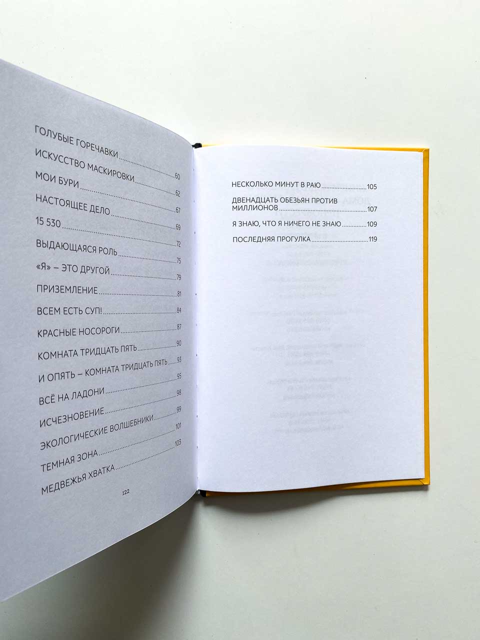 Очень-очень особенный детектив - Image 8