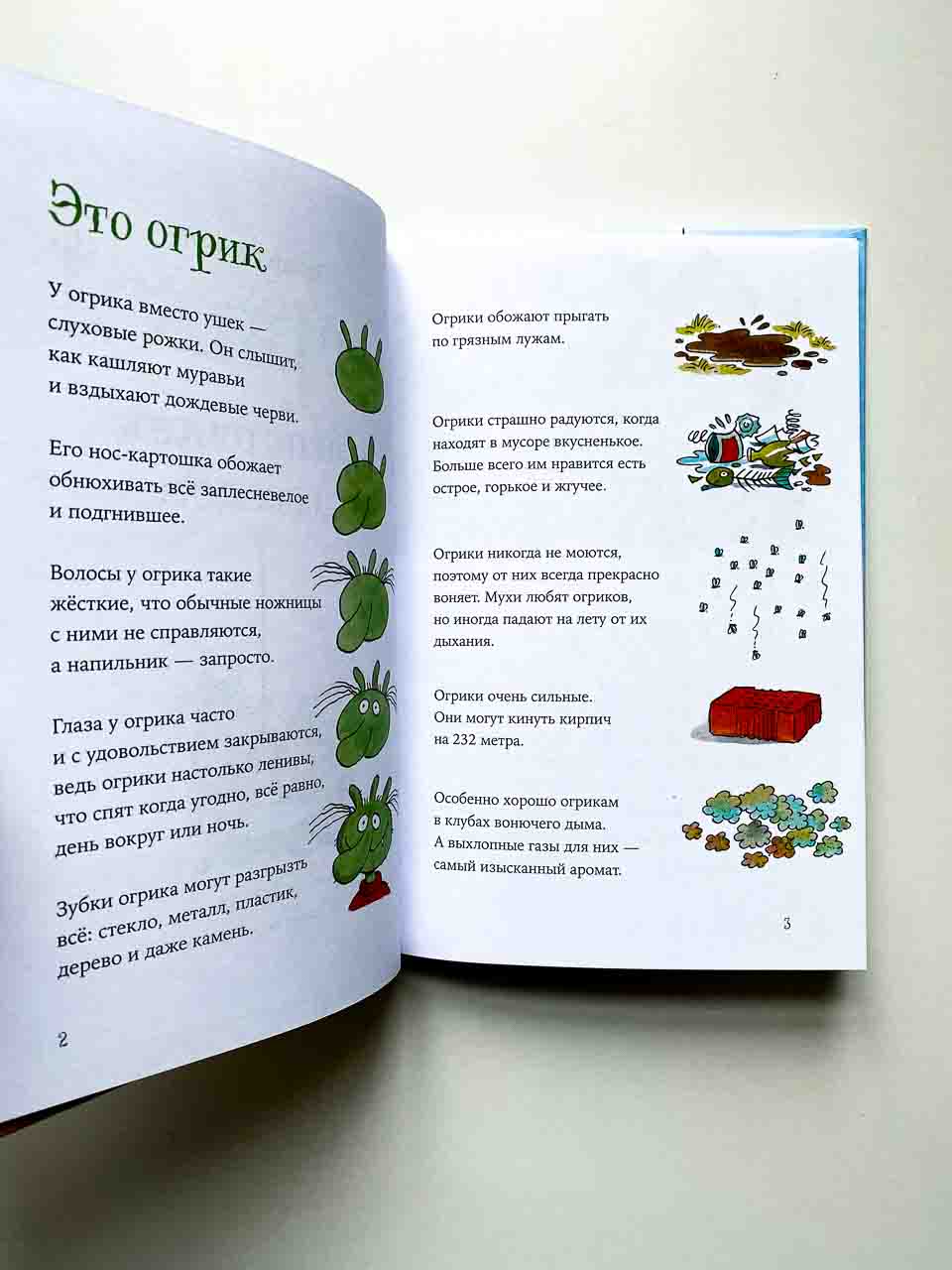 Огрики и непорядок с соседом - Image 3