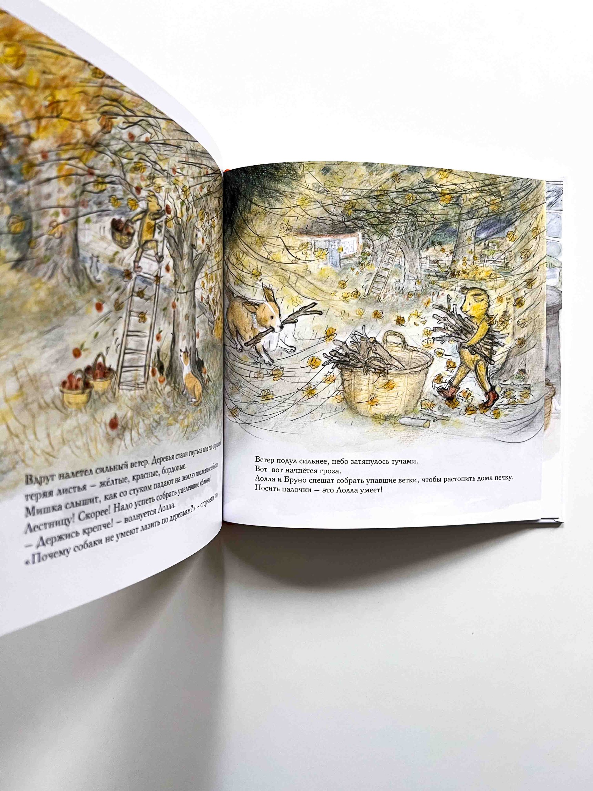 Осень мишки Бруно - Image 3