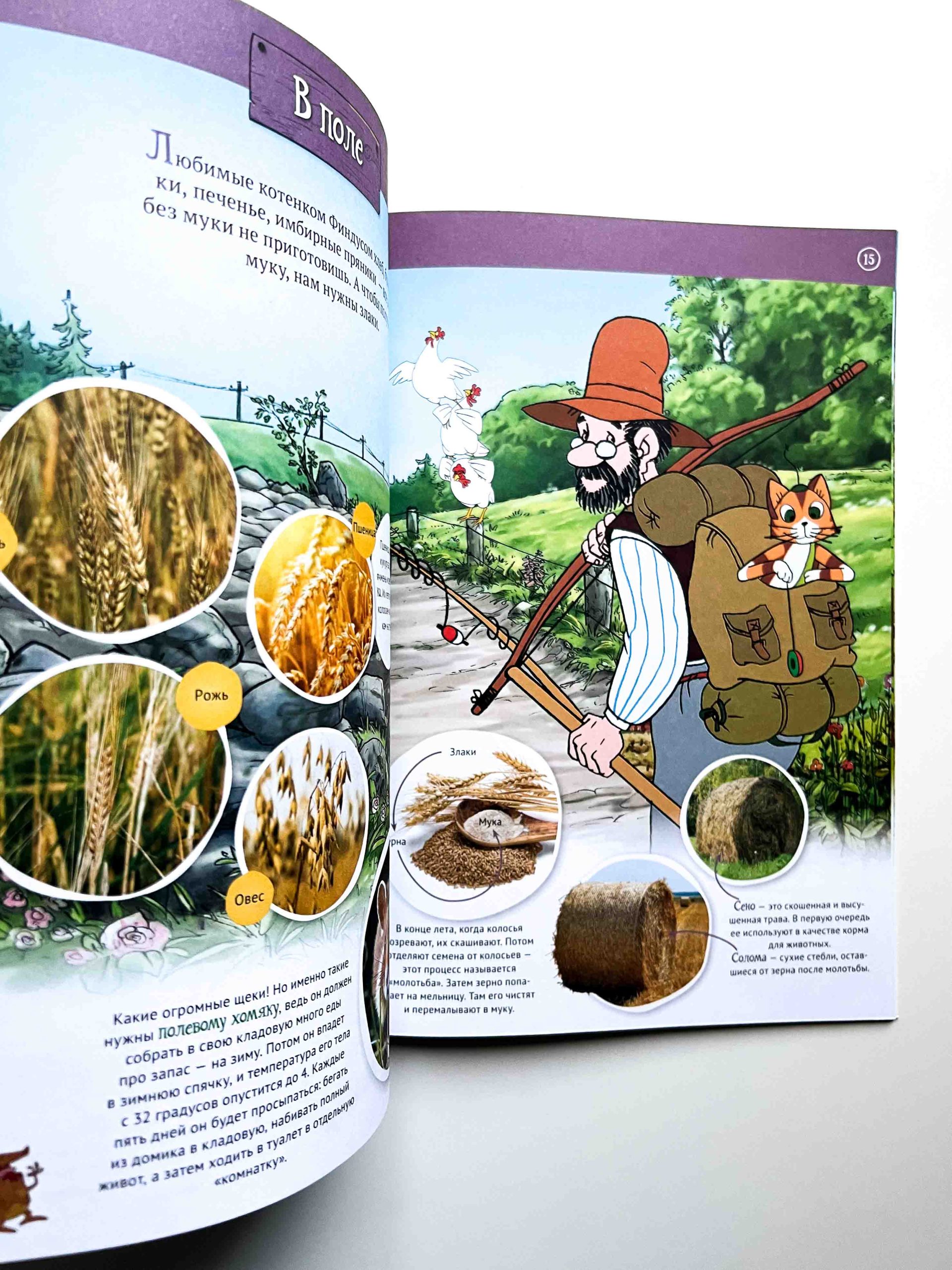 Петсон и Финдус на природе - Image 3