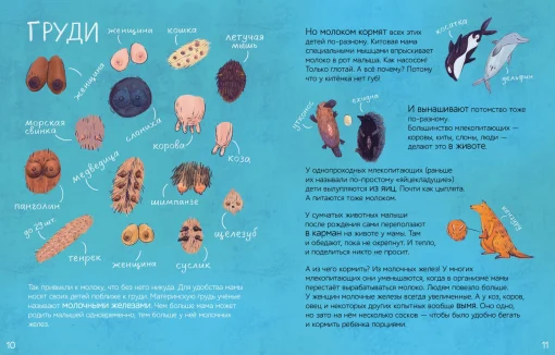 Все млекопитающие делают это? - Image 3