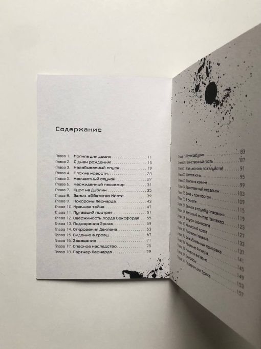 Эрик Фоглер и проклятие замка Мисти (3) - Image 2