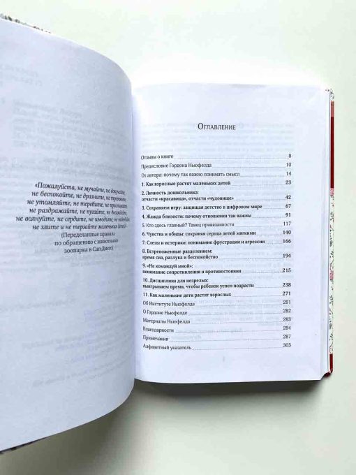 Покой, игра, развитие. Как взрослые растят маленьких детей, а маленькие дети растят взрослых - Image 2