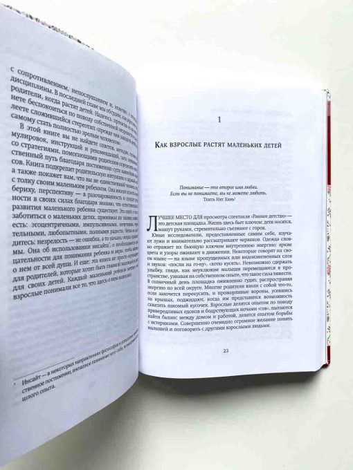 Покой, игра, развитие. Как взрослые растят маленьких детей, а маленькие дети растят взрослых - Image 6