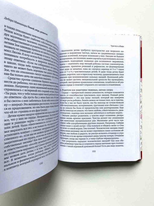 Покой, игра, развитие. Как взрослые растят маленьких детей, а маленькие дети растят взрослых - Image 7
