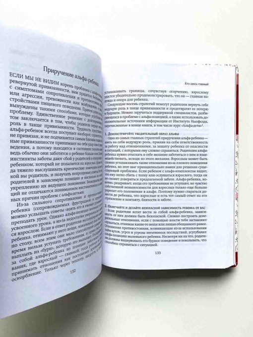 Покой, игра, развитие. Как взрослые растят маленьких детей, а маленькие дети растят взрослых - Image 8