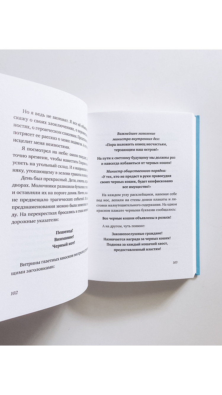 Последний черный кот - Image 7