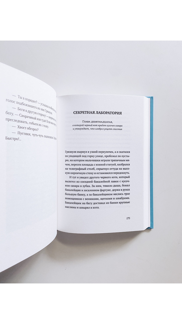 Последний черный кот - Image 5