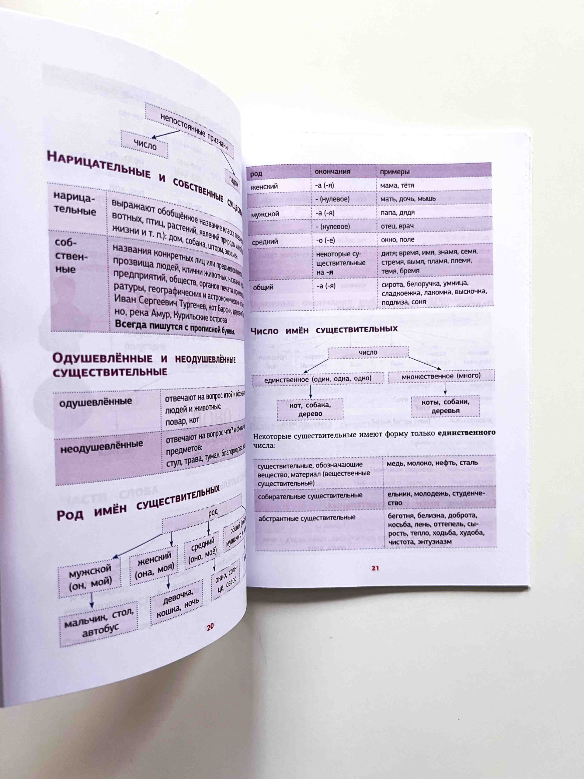 Все правила русского языка в схемах и таблицах - Image 3
