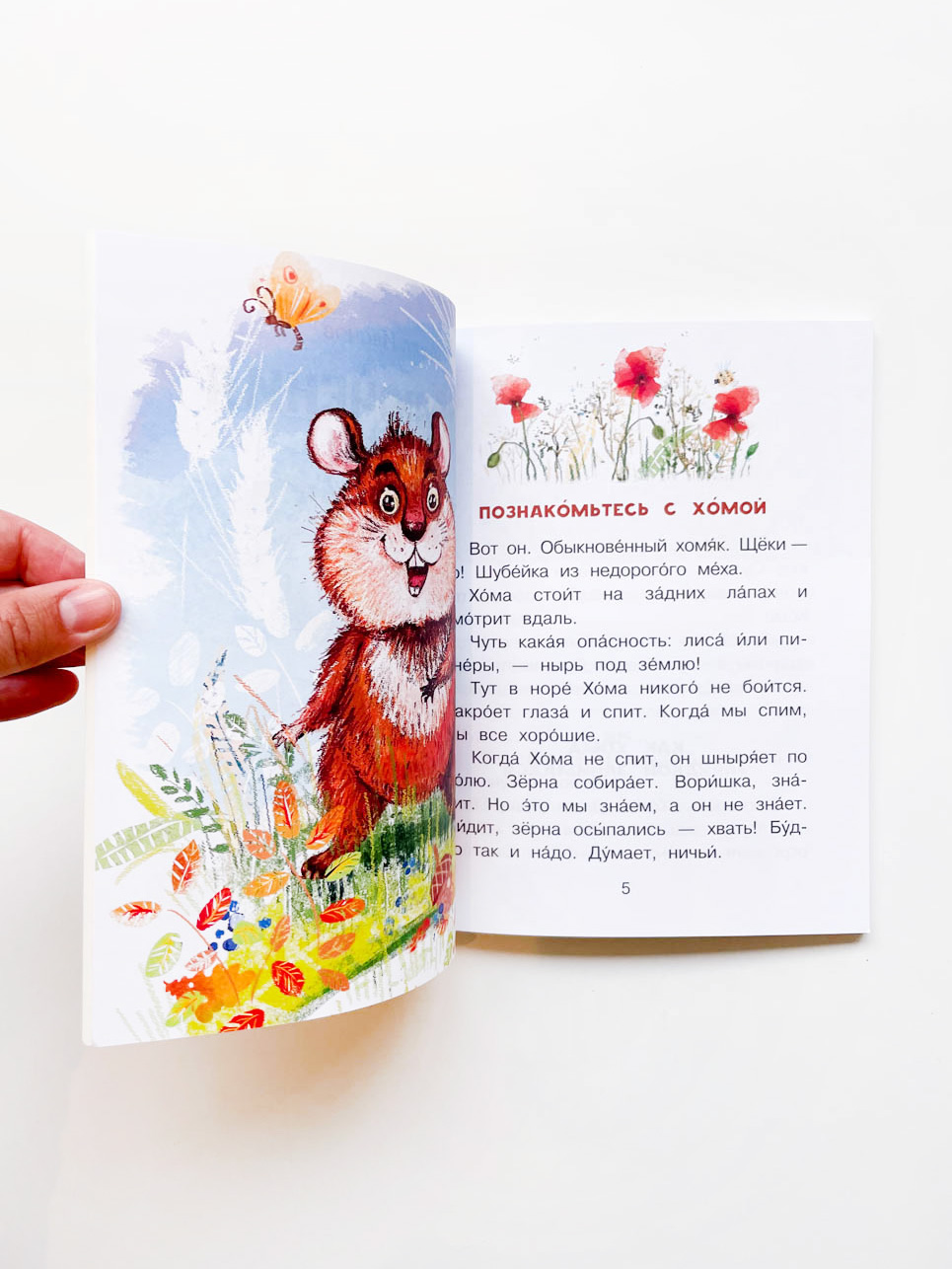 Приключения Хомы и Суслика - Image 5