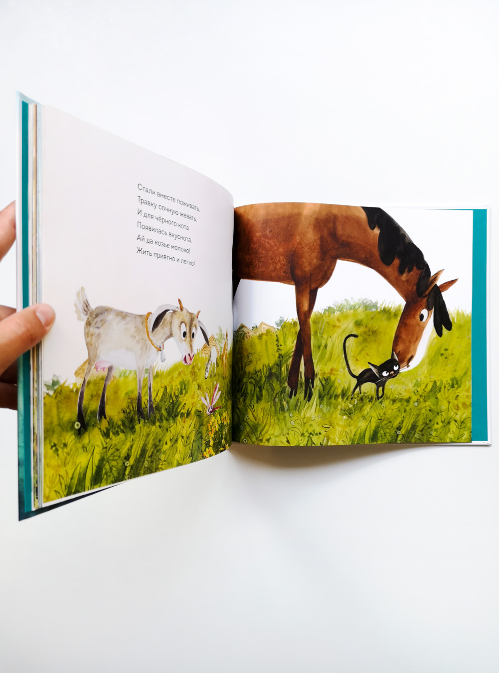 Приключения лошадки Куки - Image 8