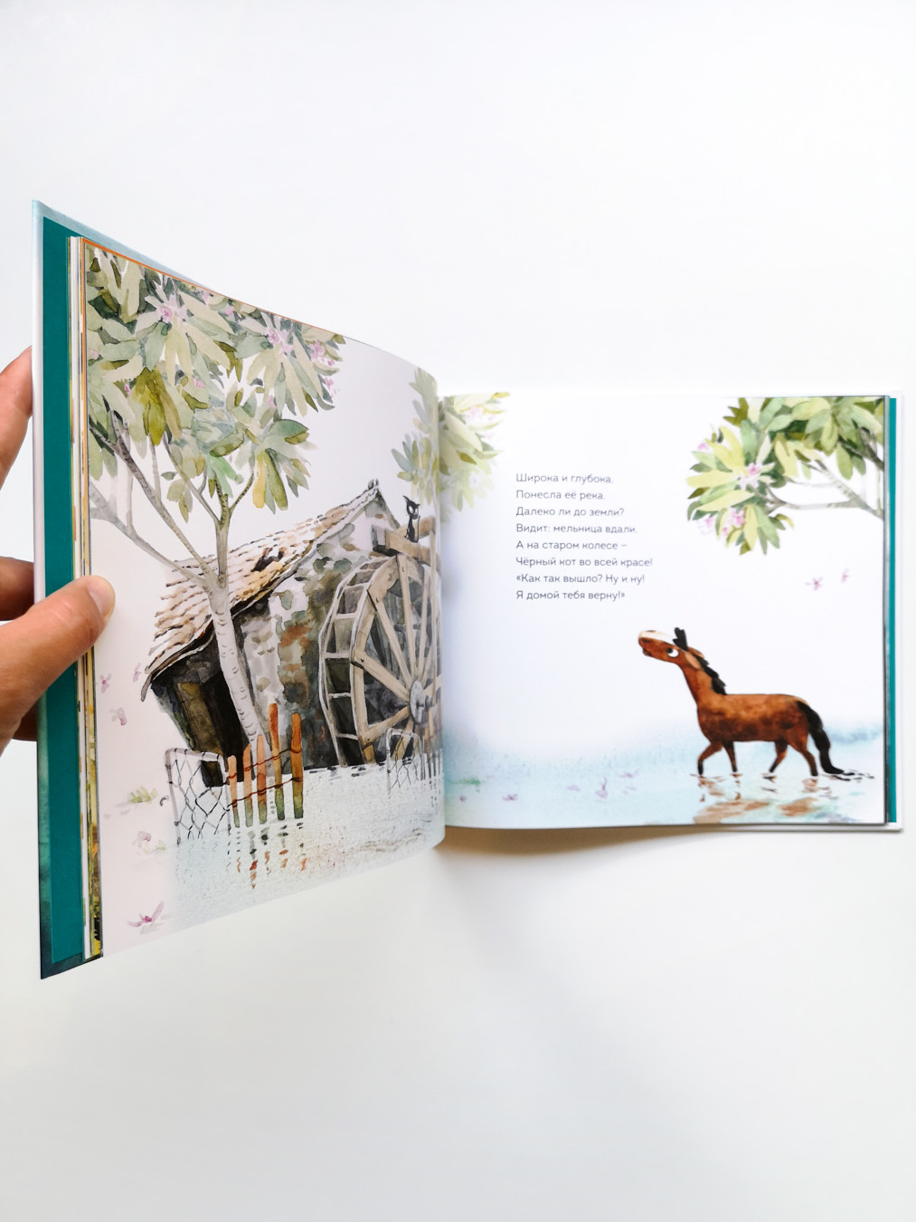 Приключения лошадки Куки - Image 5