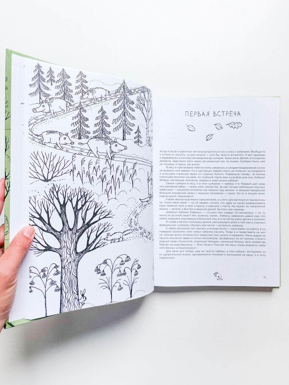 Про кабанов, бобров и выхухолей - Image 8