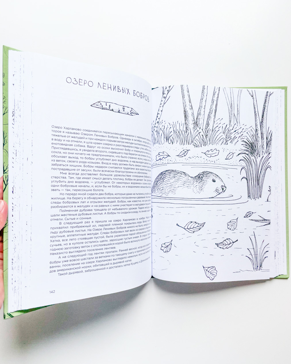 Про кабанов, бобров и выхухолей - Image 6