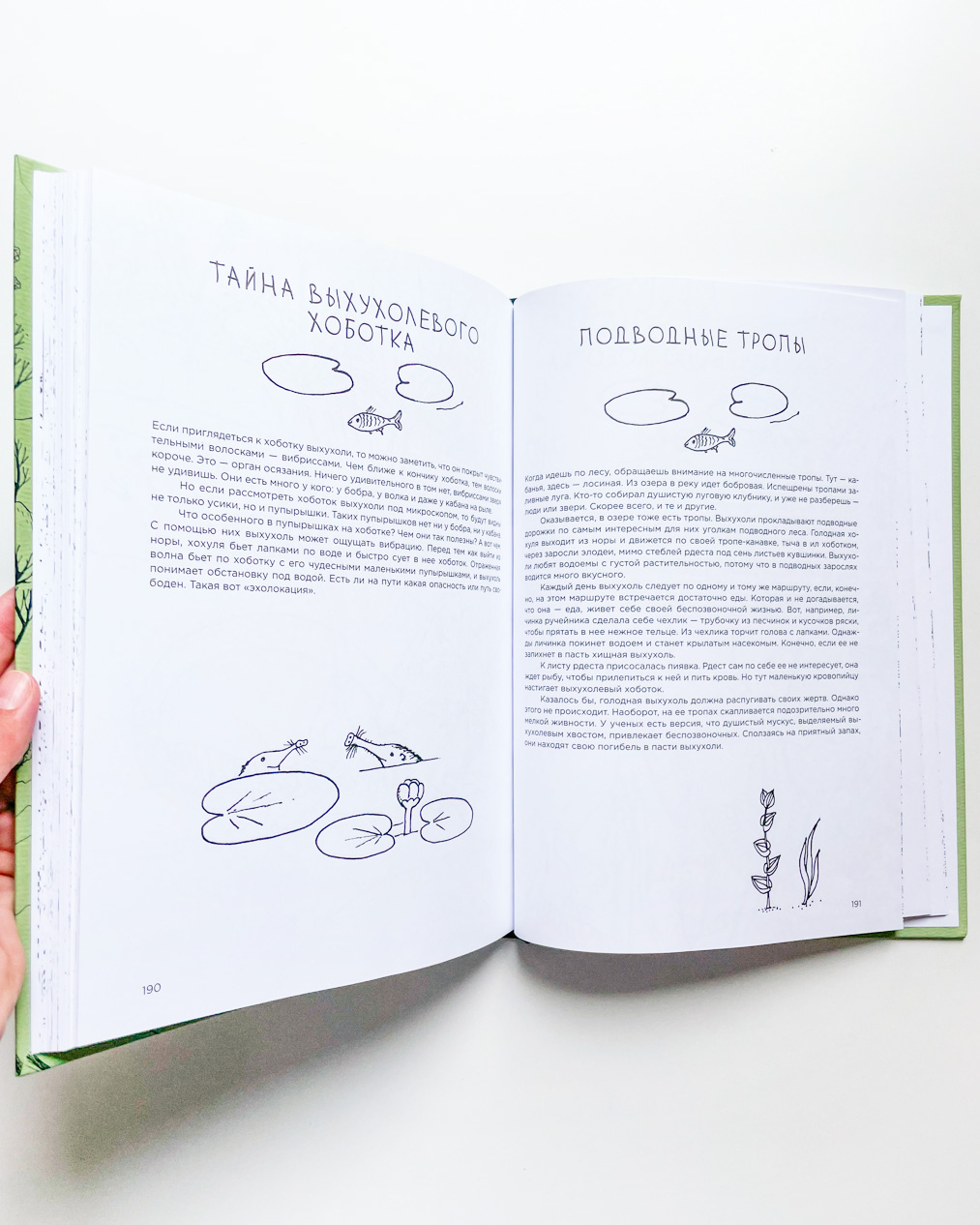 Про кабанов, бобров и выхухолей - Image 5