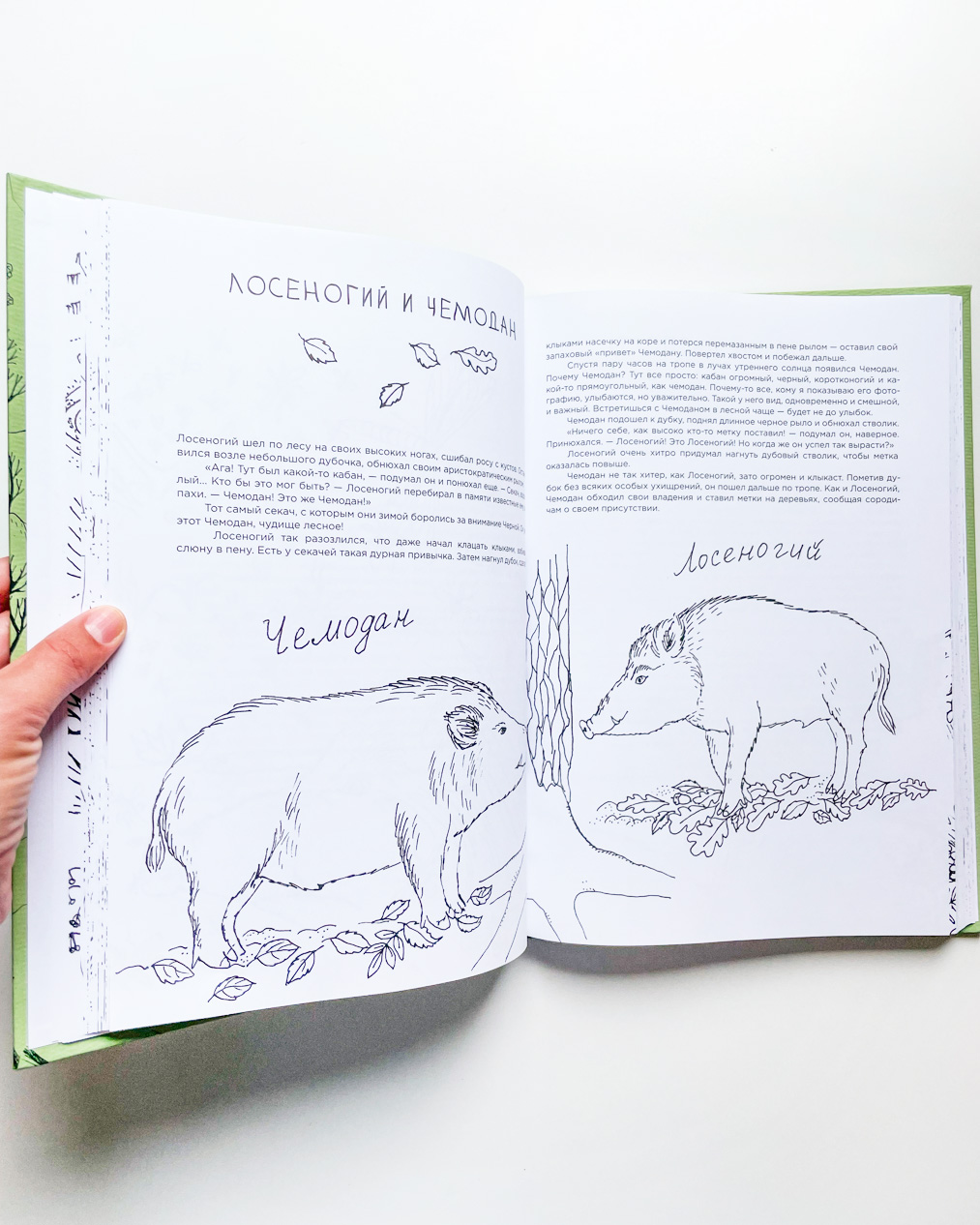 Про кабанов, бобров и выхухолей - Image 4