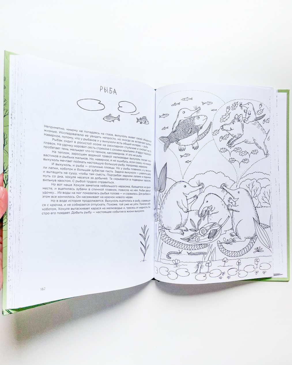 Про кабанов, бобров и выхухолей - Image 3