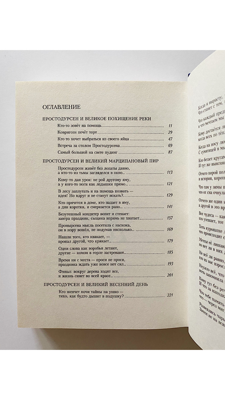 Простодурсен. Зима от начала до конца - Image 2