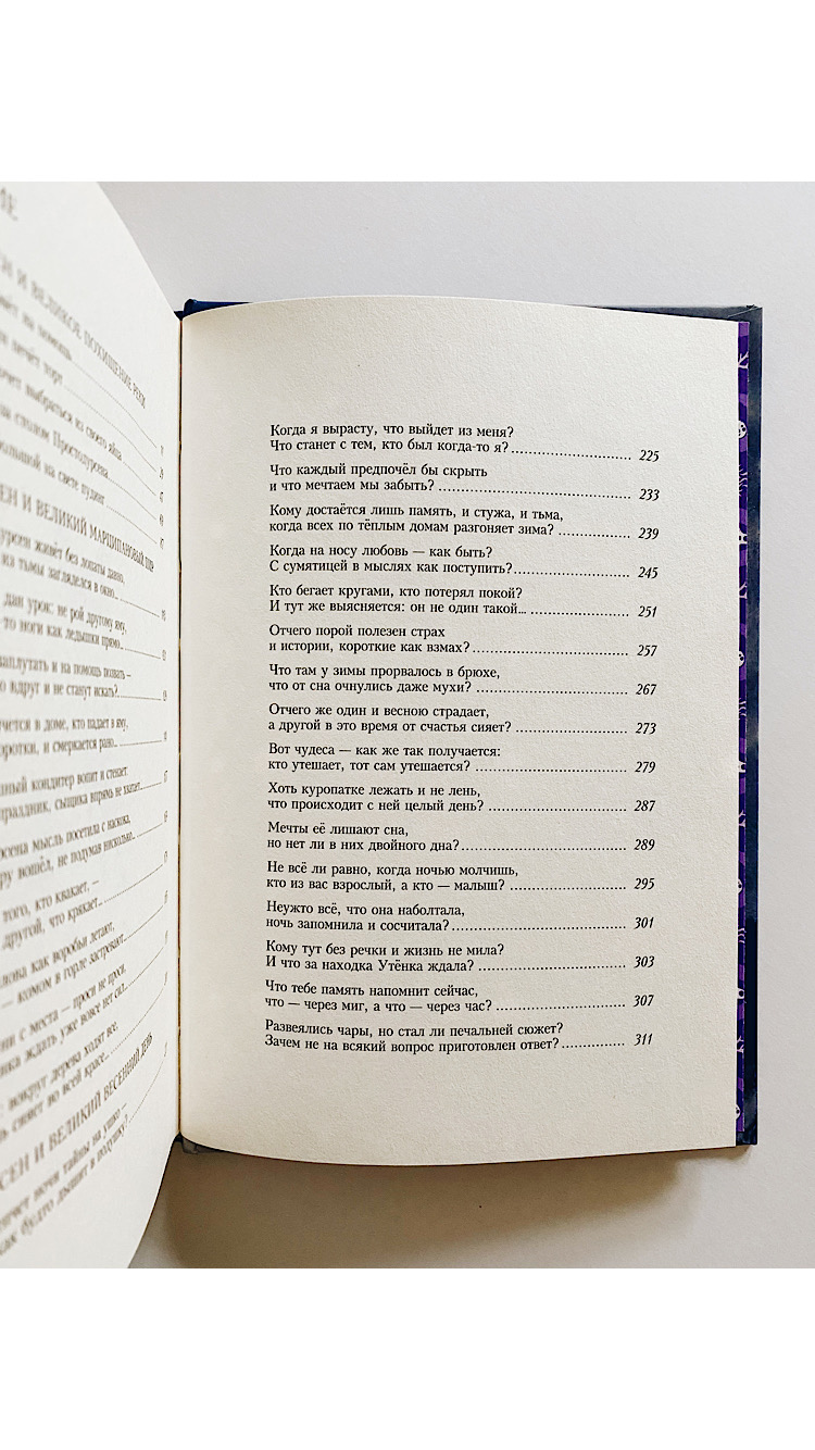 Простодурсен. Зима от начала до конца - Image 3