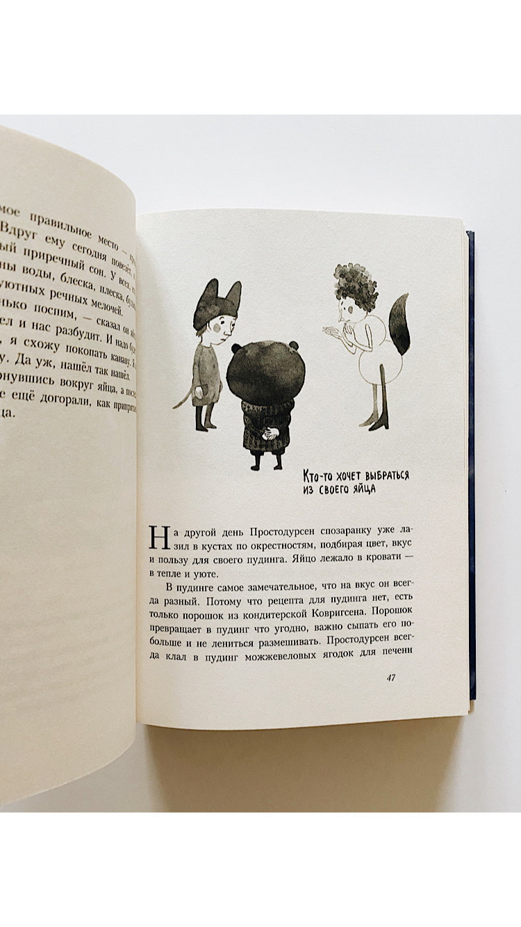 Простодурсен. Зима от начала до конца - Image 5