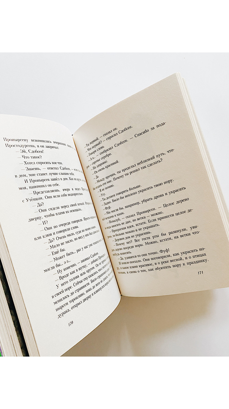 Простодурсен. Зима от начала до конца - Image 4