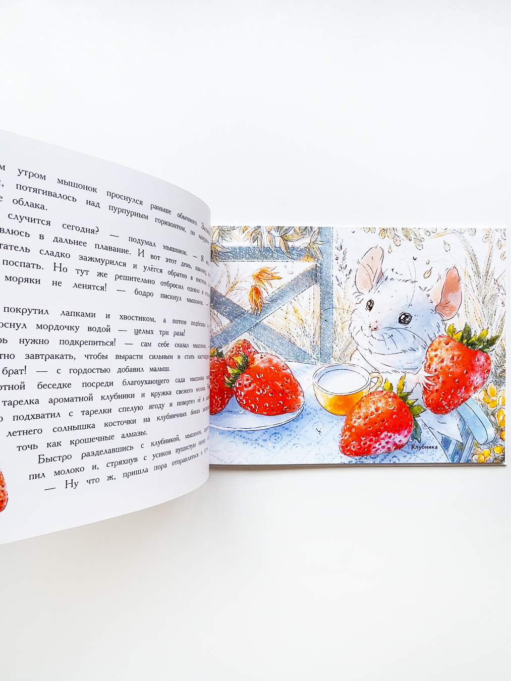 Путешествие мышонка - Image 4