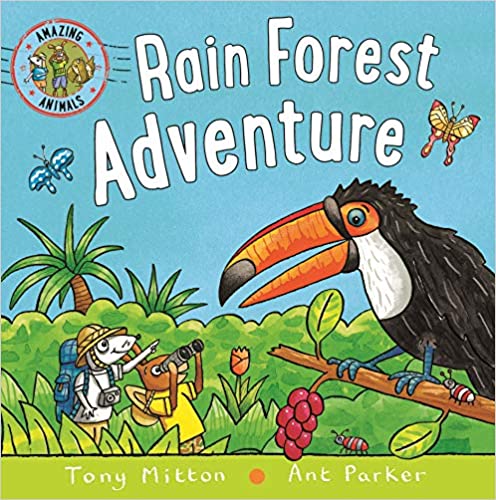 Amazing Animals: Rainforest Adventure (Board book)