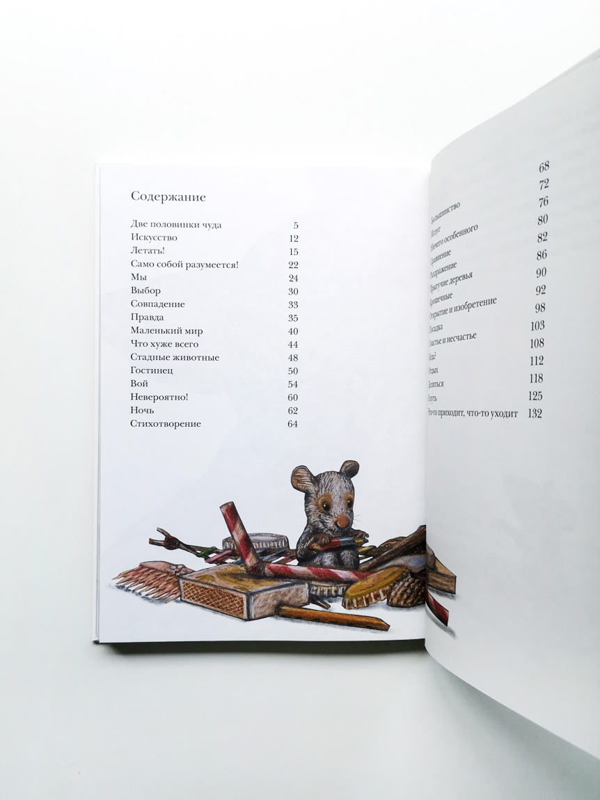 Риго и Роза. 31 история о чудных мелочах - Image 2